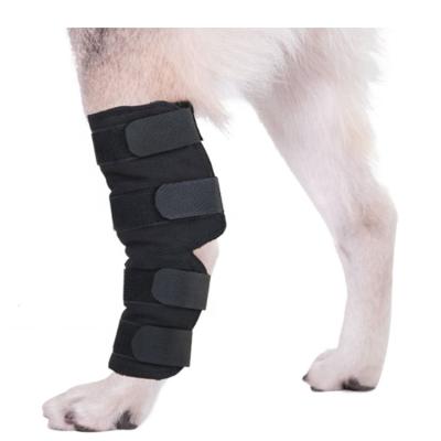 China Wholesale Canine Sleeve Support Neoprene Hedgehog Leg Protector Good Quality Dog Knee Support Brace for sale