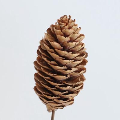 China Durable Natural Mini Pine Cones Pinecones Ornaments for DIY Crafts, Home Decorations, Other Gifts Yunnan Factory Wholesale for sale