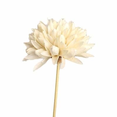 China Durable Faux Flowers Artificial Flowers White Magnolia Flower For Home Dekoration Yunnan Factory Wholesale for sale