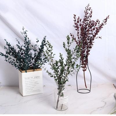 China Natural Flower / Plant Preserved Eucalyptus Leaves Stems Greenery Decor Eucalyptus Real Touch To Wedding Bouquet Wholesale for sale