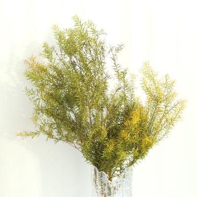 China Wholesale Natural Preserved Melaleuca Tea Tree Flower/Plant Bracteata For Home, Wall Flower Arrangement INS Weeding Hot Selling for sale