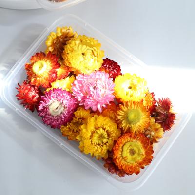 China 100% Natural Colorful Chrysanthemum Flower Heads Box Beautiful DIY Craft Flower Yunnan Material Wholesale for sale