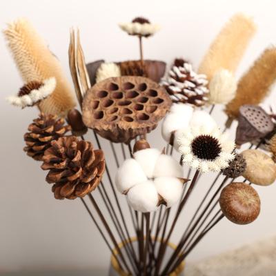 China Events decoration a variety of flower materials pine cone cotton lotus dry pod, for home decoration DIY dried flowers for sale