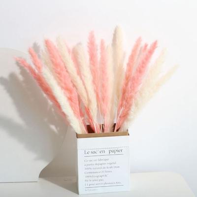 China Natural Touch Colorful Pampas Grass Small Pampas Dried Natural Flowers Bouquet For Home Decoration And Wedding for sale