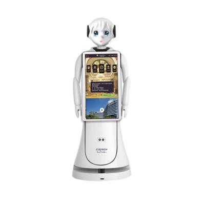 China Shopping mall factory supply low price popular humanoids smart smart robots for sale