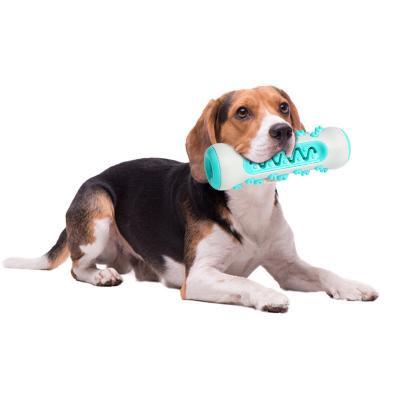 China PPYOU Toothbrush Duct Bone Dog Sensory Chew Stored Toy Pet for sale