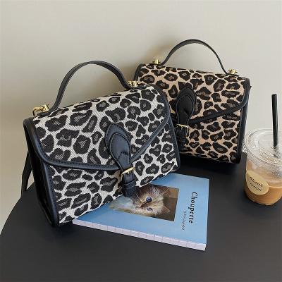 China Luxury Lady Factory Popular Leopard Print Handbag Young Lady Handbags Girls Small Purses For Ladies for sale