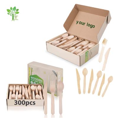 China 4-6 inch Baby Chisheng Wooden Spoon Luxury Biodegradable Cutlery Set Disposable Cutlery Set for sale