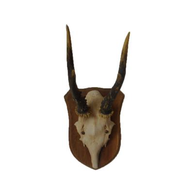 China Antlers Wholesale Home Decor Deer Skulls Handmade Carved Creative Customized Living Room Wall Hanging Pendant for sale