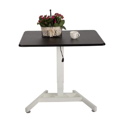 China Adjustable Electric Lift Motorized Standing Desk With Lift Desk View for sale