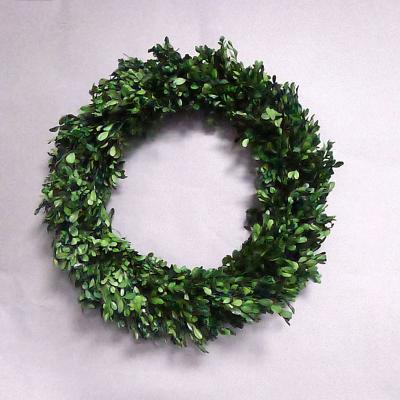 China Decorative Wreath 55cm Christmas Wreath Garland Green Leaves Natural Plants Preserved Boxwood Wreath for sale