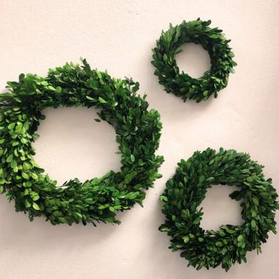 China Environmental Protection Green Decorative Christmas Boxwood Artificial Preserved Wreath, Floral Preserved Boxwood Wreath for sale