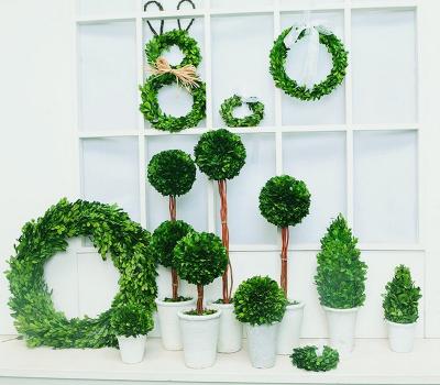 China Real environmental protection 45cm green preserved boxwood garland for sale