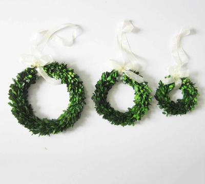 China Green Environmental Protection Small MOQ BoxwoodValley Preserved Mini Wreath Garland Set of 3 S-M-L, Door Hanging Window Wedding Party Boxwood Decoration for sale