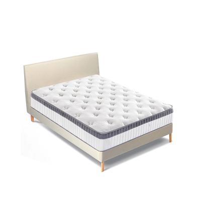 China Foldable New Arrival Hospital Mattress Protector Cover Export Waterproof Bed Base for sale