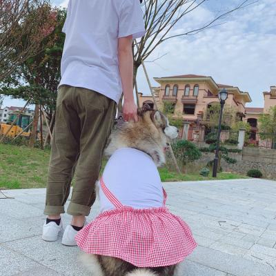 China 2021 Fashion Summer Viable Wholesale Cute Pet Dress for sale