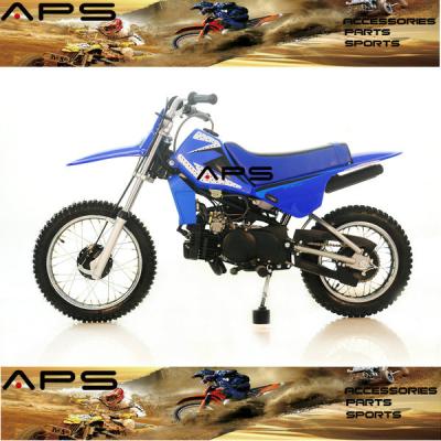 China 2-Stroke PW80 PY80 80cc Engine Mini Pit Bike Dirt Bike Off-road Bike for Kids for sale