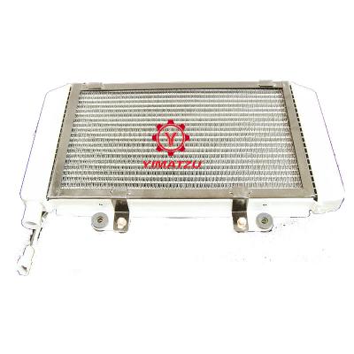 China Yimatzu ATV Parts RADIATOR ASSY for Buyang FA-K550 N550 EEC EPA for sale