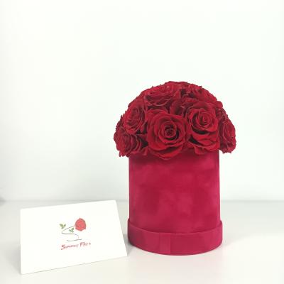 China Durable Preserved Sumflora Rose Handmade Preserved Flower Rose Diameter 5-6 Cm Forever Rose Preserved Rose In Box for sale