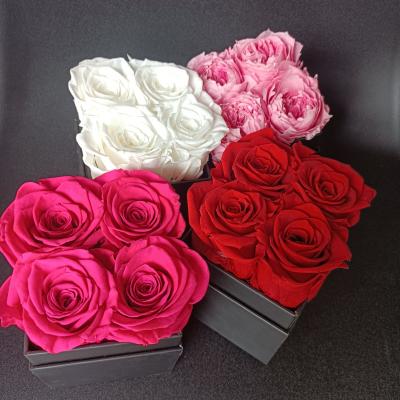 China Preserved Long Lasting Preserved Rose Rose Box Summer Flora Amazon Hot Friend Gift 5-6 Cm Preserved Roses For Valentine's Day for sale