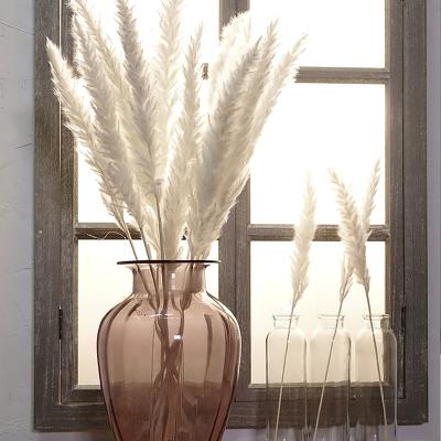 China Durable Small Pampas Grass 2020 Top Selling Home Or Wedding Decoration Flower Pampas Grass Small White Pampas Grass for sale