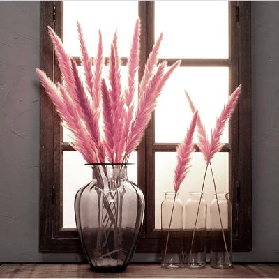 China Real Small Pampas Grass Dry Small Pampas Grass Decorative Indoor Grass New Arrivals Durable Decorative Artificial Grass for sale