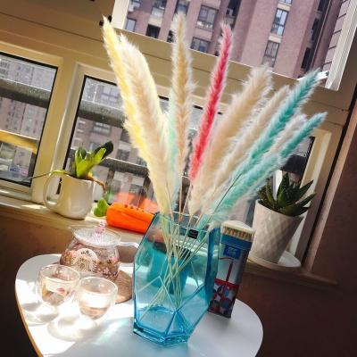 China 2020 Pampas Grass Artificial Dried Blue Flower Small Amazon Pampas Grass Durable Decorative Indoor Success Grass For Home Decoration for sale