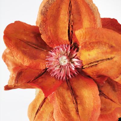 China Wholesale Home Decoration Sumflora China Natural Orange Bouquet Flowers Group Dried Flowers Passion Flower for sale