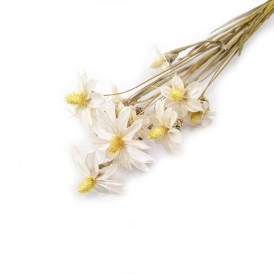 China 2020 SumFlora Brief New Product White Wood Artificial Dried Flower Orchid For Home Decoration for sale