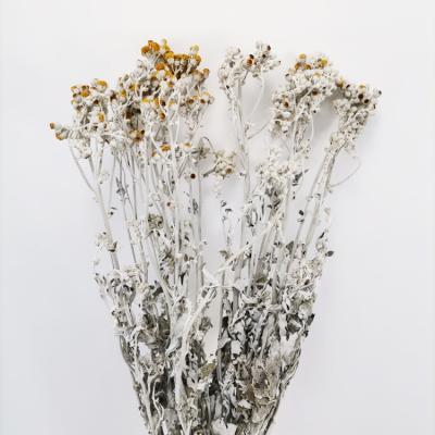 China Wedding SumFlora Home Decoration Combination Dried Flower Orange Flower Flower Dried Flower Dusty Miller for sale