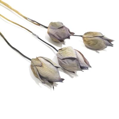 China Decoration SumFlora China Wholesale Natural Durable Dried Flowers Dried Lotus For Cafe Decoration for sale