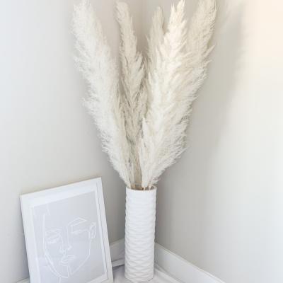 China 50-80cm Natural Dry Flower Pampass Durable Decorative White Rose Grass Wedding Feather for sale