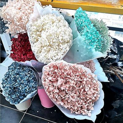 China Durable Preserved Hydrangea Sumflora Amazon Success Home Decor Dried Flower Long Stem Preserved Hydrangea For Decorations Home for sale