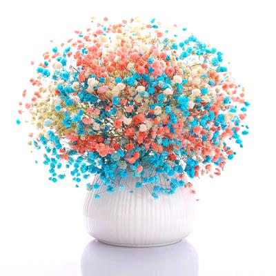 China SumFlora home Nordic style decoration fresh style wedding and furniture preserved flower babysbreath for flower arrangement for sale