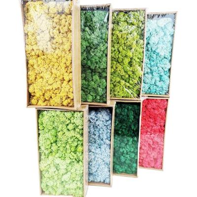 China Sumflora Wholesale Home Indoor Home Decoration Natural Green Preserved Moss For Wall Decoration for sale