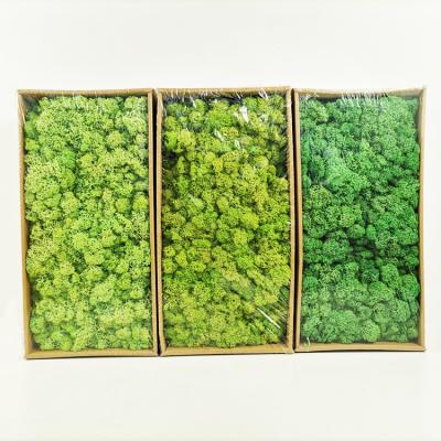 China Beautiful Colorful Decorative SumFlora Flower Wall Backdrop Eternal Flower Box Preserved Flower Moss for sale