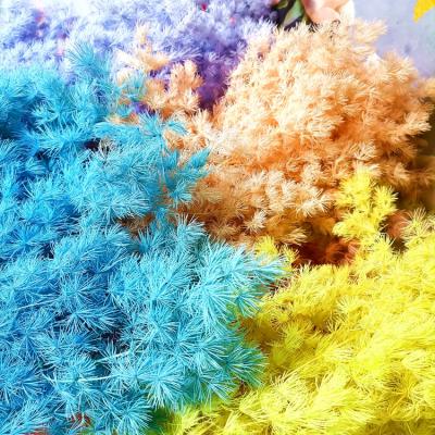 China Sumflora Handmade Christmas Pen Lai Decorative Colorful Pine Preserved Flowers Asparagus Myriocladus For Home Decor for sale