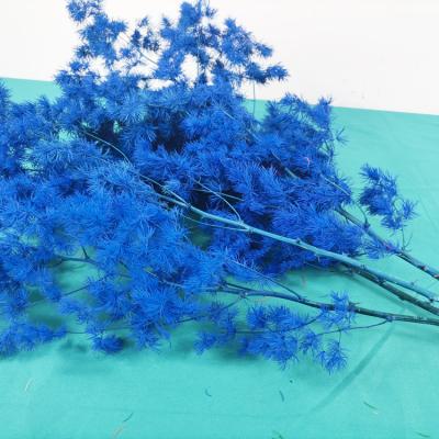 China Wedding SumFlora Girls Living Room Decoration Real Natural Touch Dried Flower Bouquets Preserved Flower Asparagus Myriocladus for sale