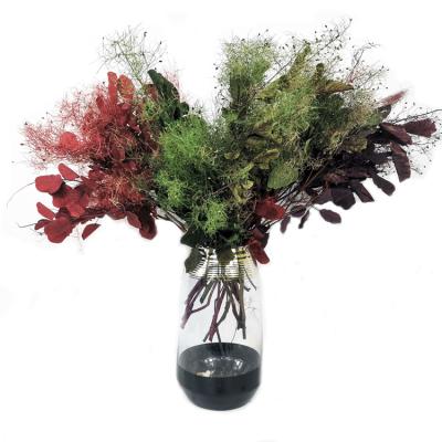 China Wholesale High Quality Home Decoration SumFlora Wedding and Arrangement Preserved Flowers Smoke Bush (Cotinus coggygria) for sale