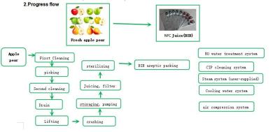 Cina Banana arancio Juice Beverage Production Line di Apple 50 tonnellate/ora in vendita