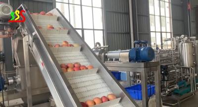 China 1000kg/H Apple-de Verrichting van de Pureejuice fruit processing line automatic van Inputapple Te koop