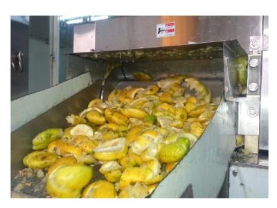 Cina Linea di produzione di succo di frutta di ananas di mango con capacità minima di 500 l/h in vendita