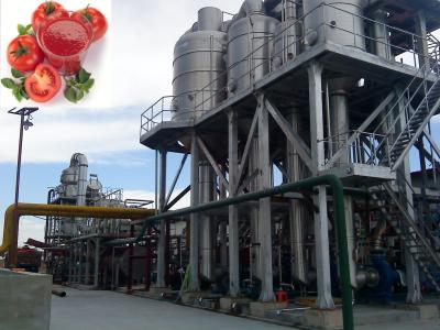 China Automatic Grade Tomato Jam Paste Sauce Processing Line For Final Product à venda