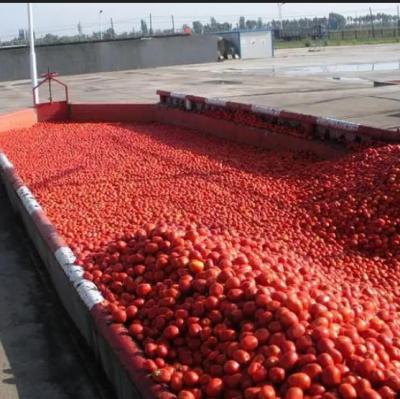 China Tomato Paste Production Line For 300 Tones A Day Processing Machine for sale