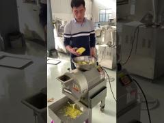 fruit and vegetable cutting machine