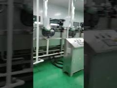 Customized Stainless Steel Food Grade Mango Processing Line Factory Price