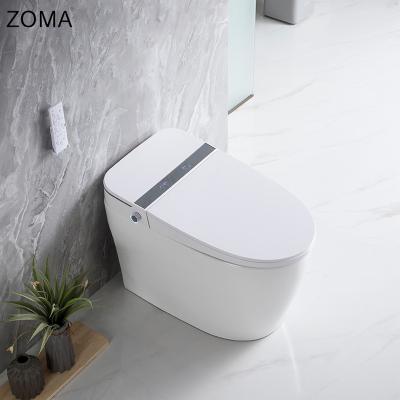 China Multifunctional Smart Toilet Cistern Ceramic Hidden Bathroom Toilet for sale