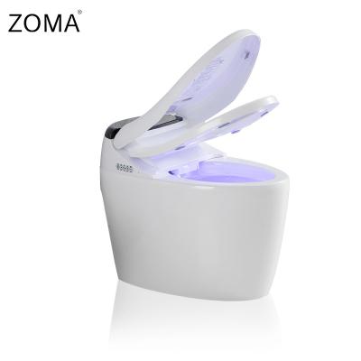 China Sanitary Ware Luxury Modern Style Concealed Smart Toilet Cistern Electric Toilet Quick Heat Fully Automatic Operation for sale