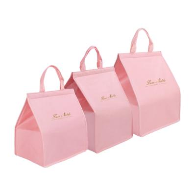 China 2020 High Quality Nonwoven Waterproof Insulated Food Bags Warm Carry To Keep Food Cold for sale