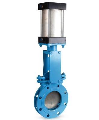 China Papermaking And Medicine China Manufacturer Cylinder Barrel Elevator Metal Seated Gate Valve for sale